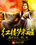 红楼梦未醒