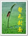 小兵传奇