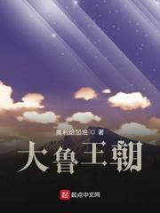 大鲁王朝