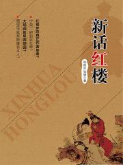 新话红楼
