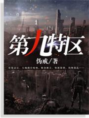 第九特区