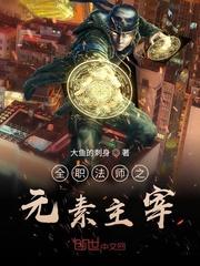 全职法师之元素主宰 全职法师之元素主宰