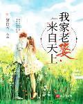我家老婆来自天上