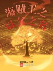 海贼王之以父之名 海贼王之以父之名