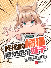 我捡的橘猫竟然是个妹子 我捡的橘猫竟然是个妹子