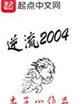 逆流2004
